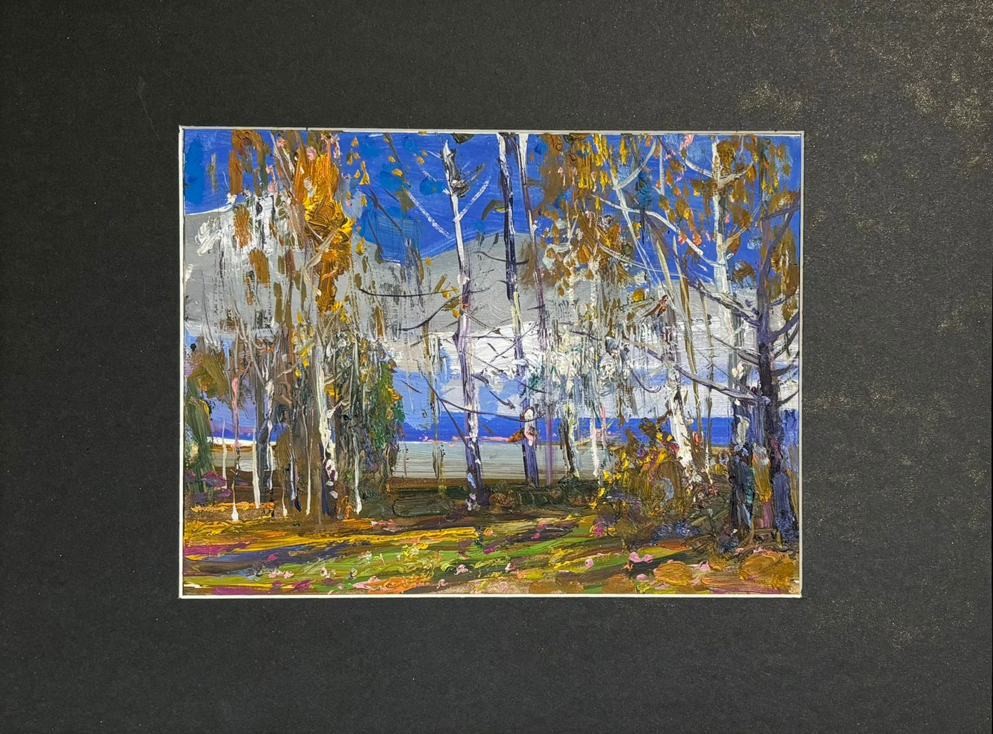 Березы