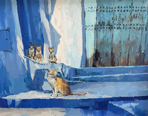 Кошки Марокко