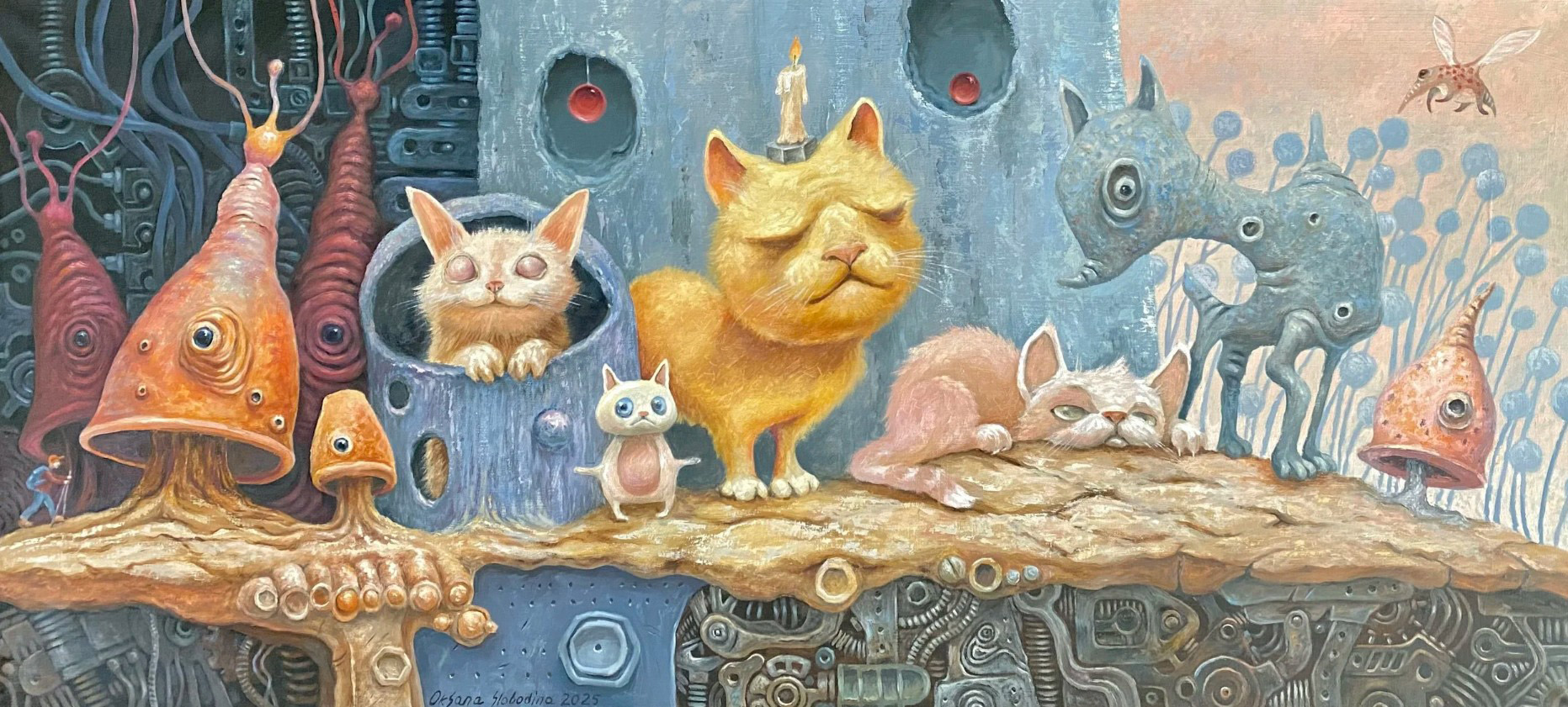 Кото-сингулярность