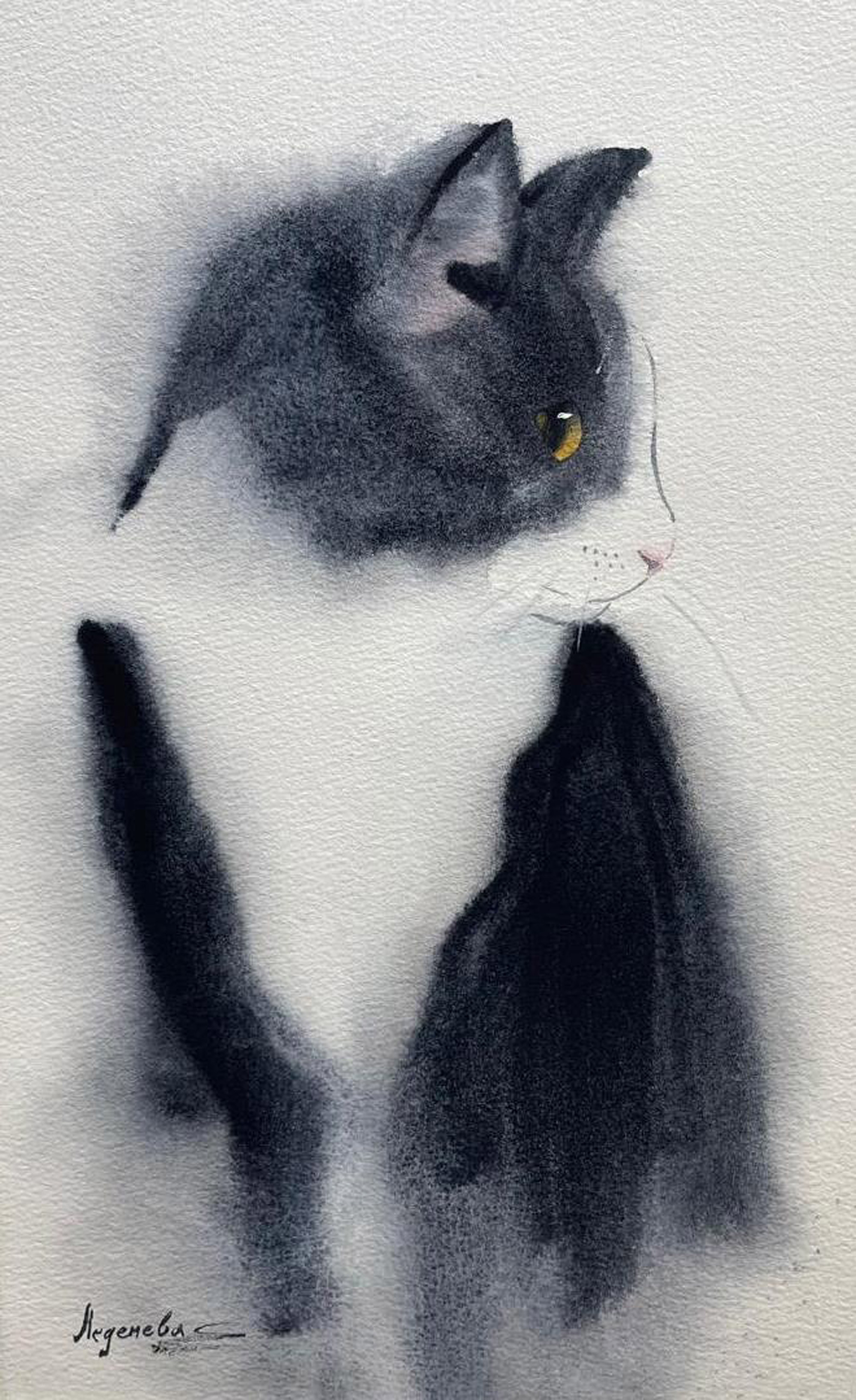 Котопрофиль