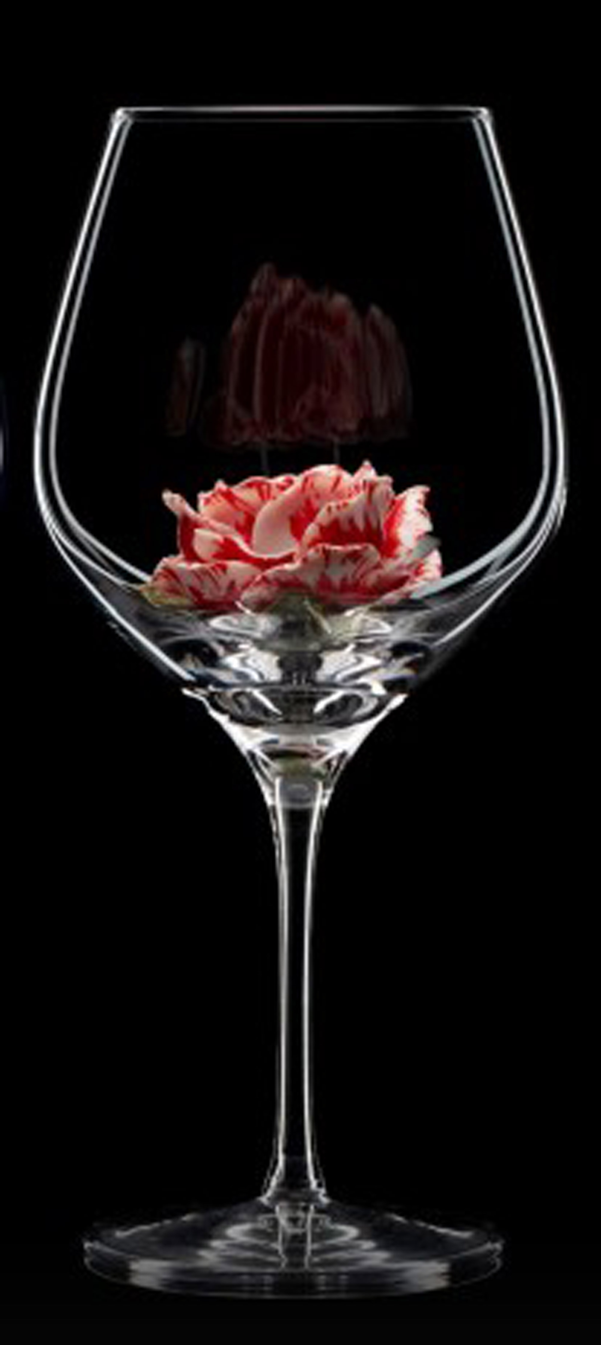 Бокал с гвоздикой (под красное вино)
