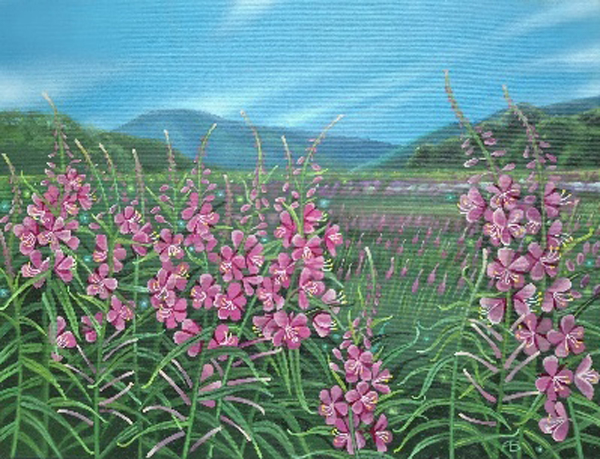 Пока цветёт иван-чай