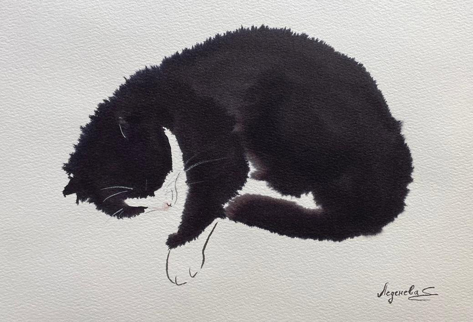 Сладкий сон