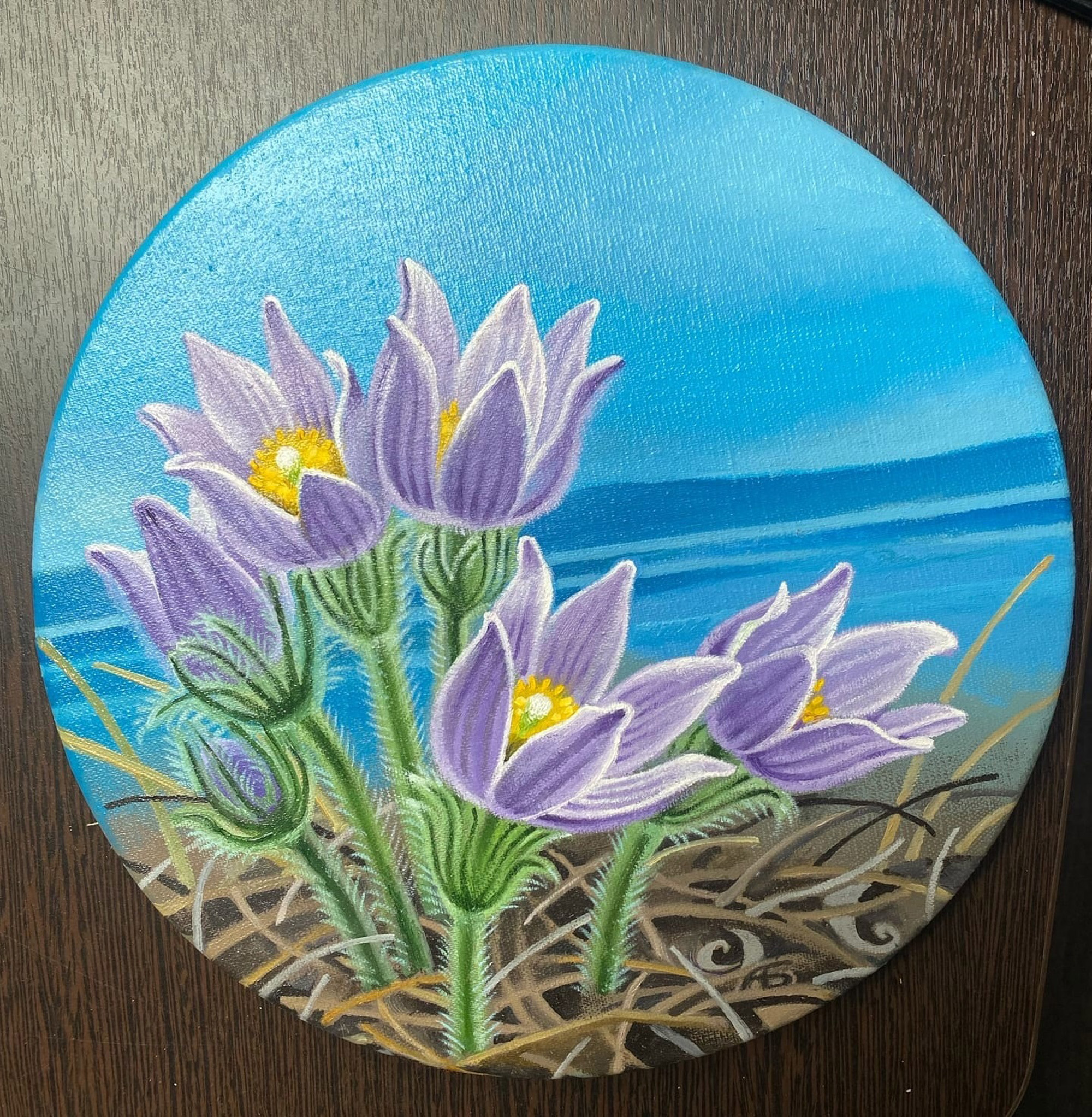 Pulsatilla тондо