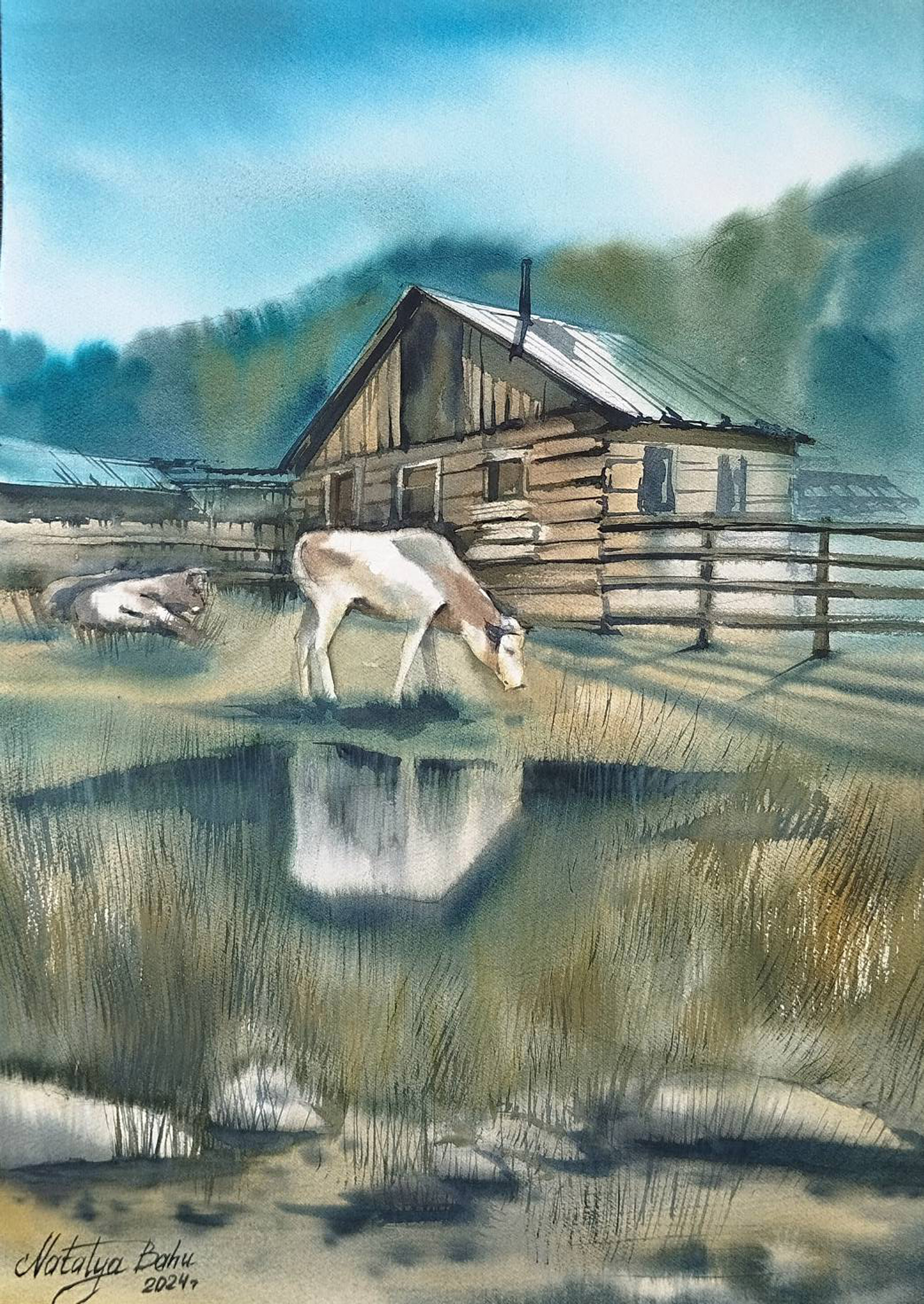 После дождя