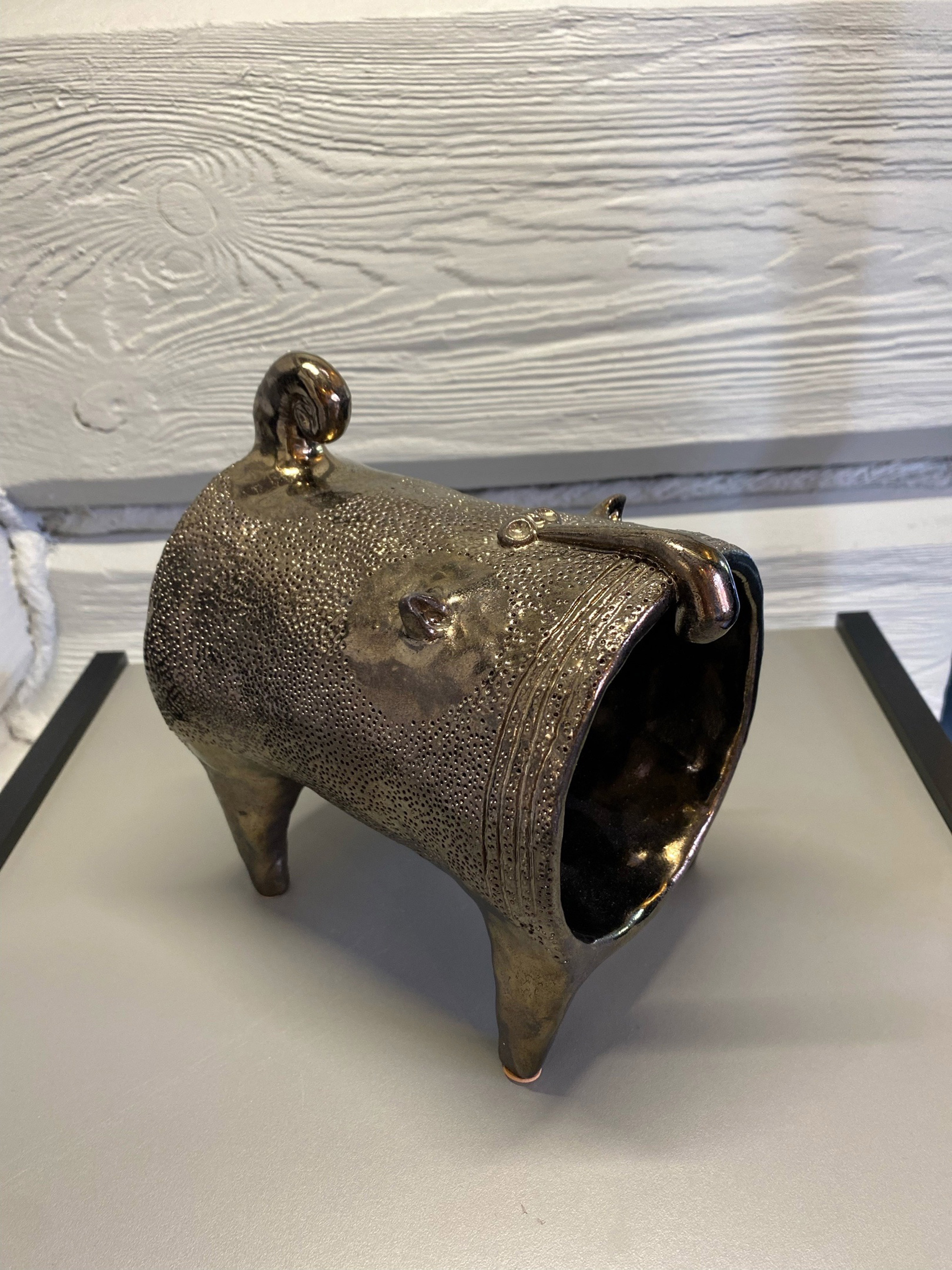 Кот зеркальный