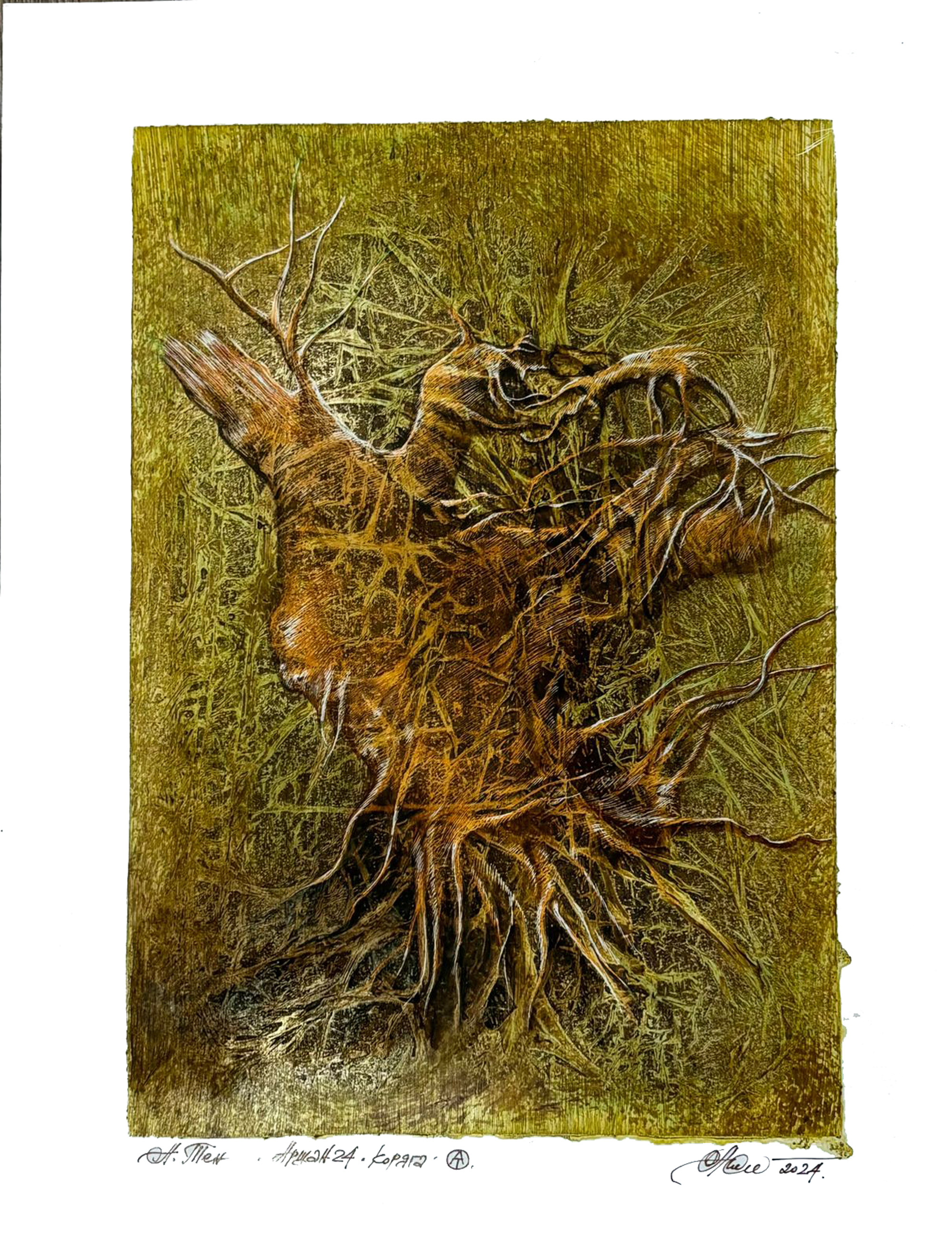 Аршан24. Коряга