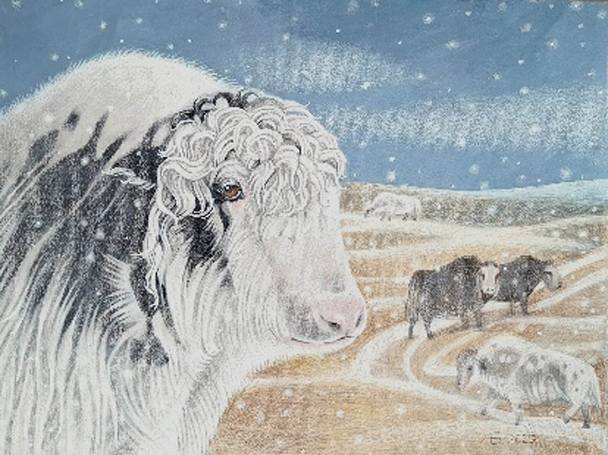 Снежные яки