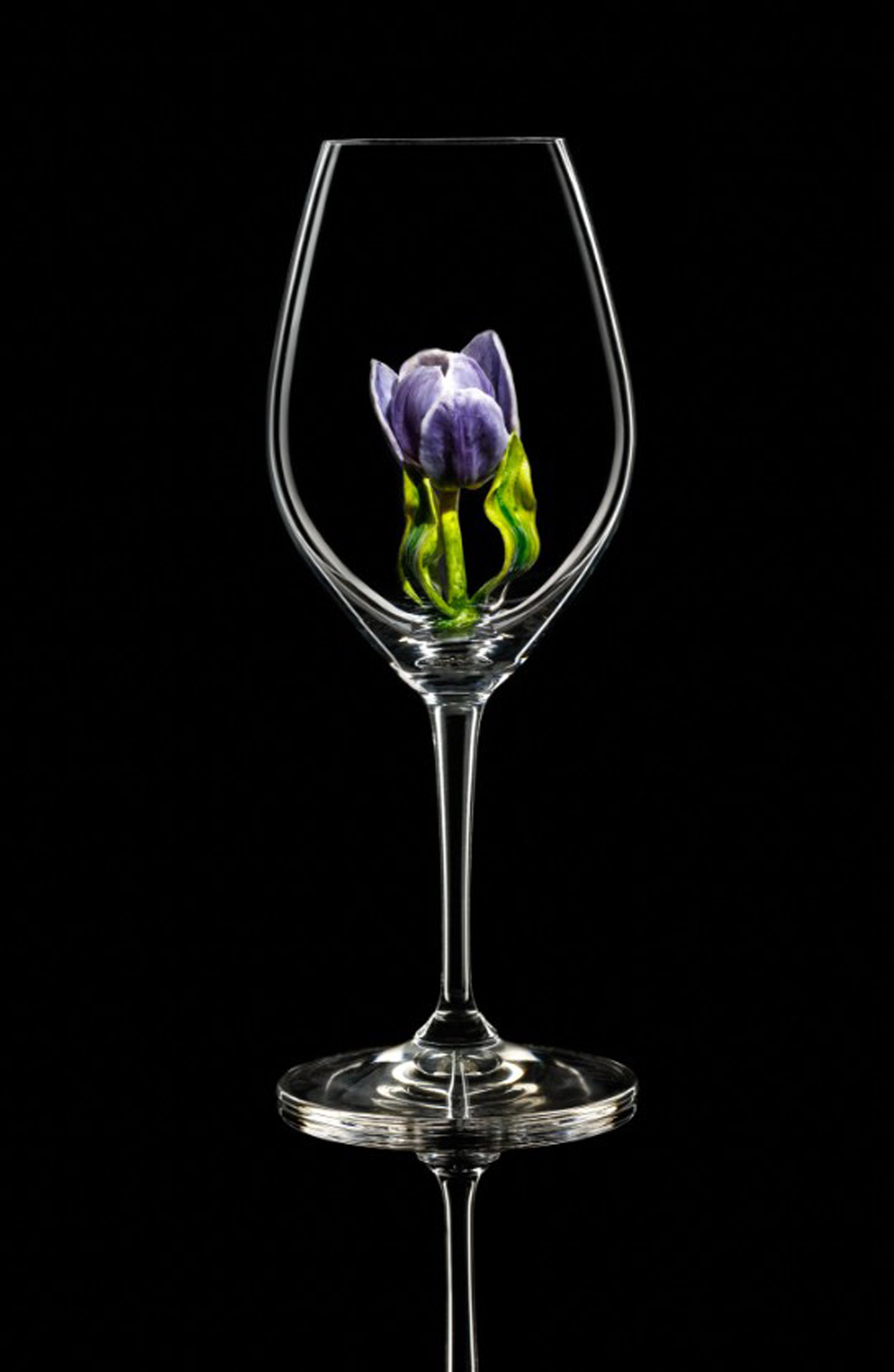 Бокал ридель Тюльпан