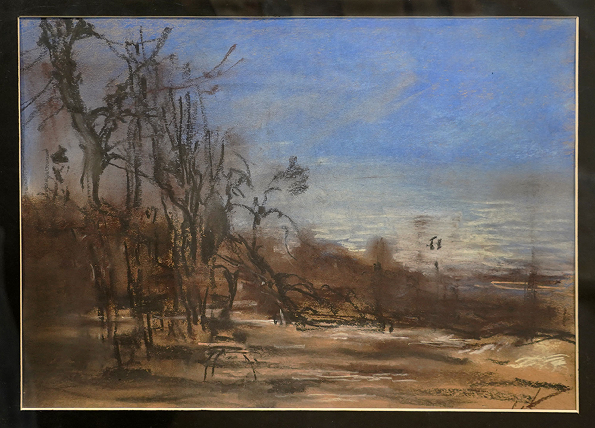 Плесс