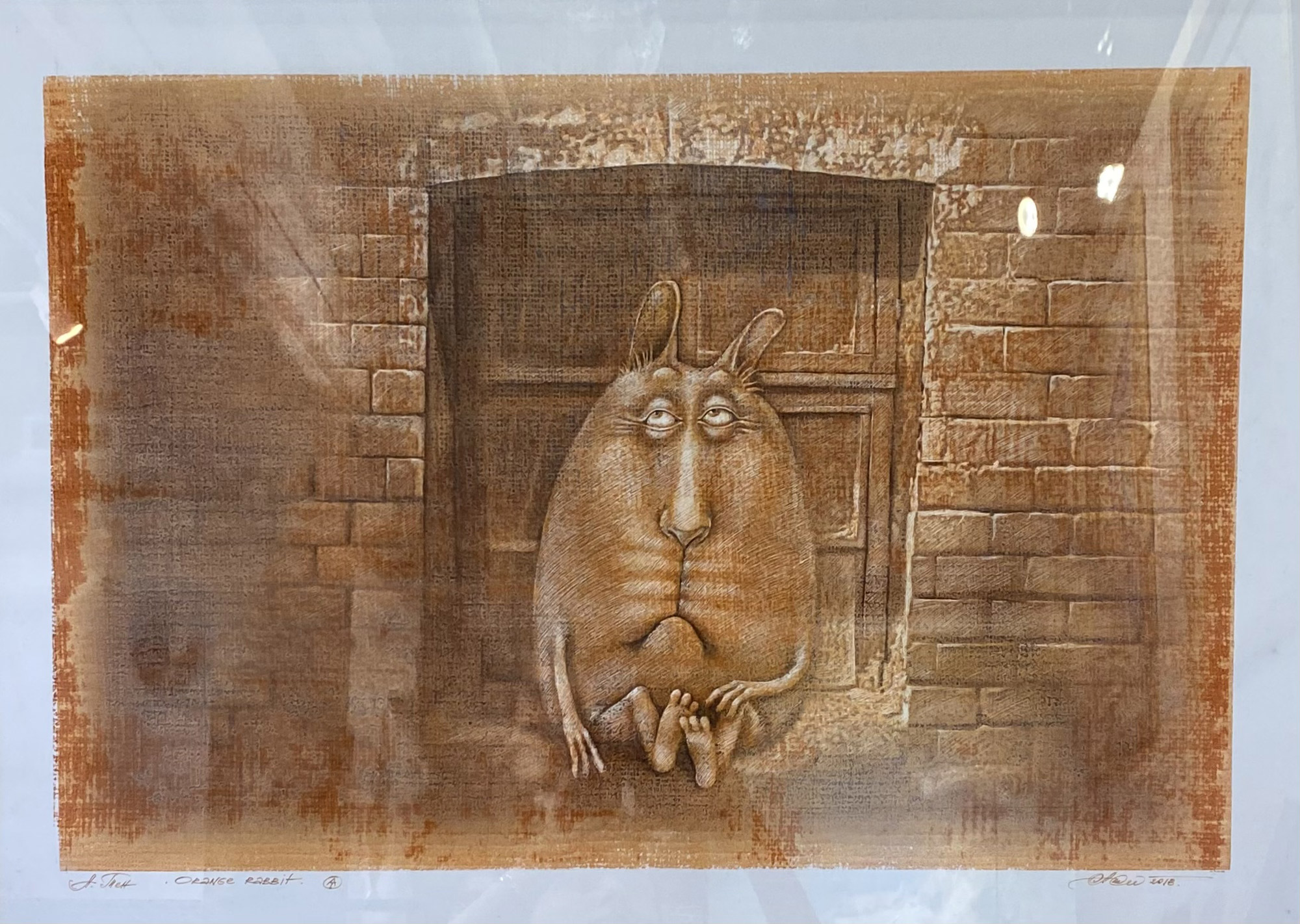 Orange rabbit