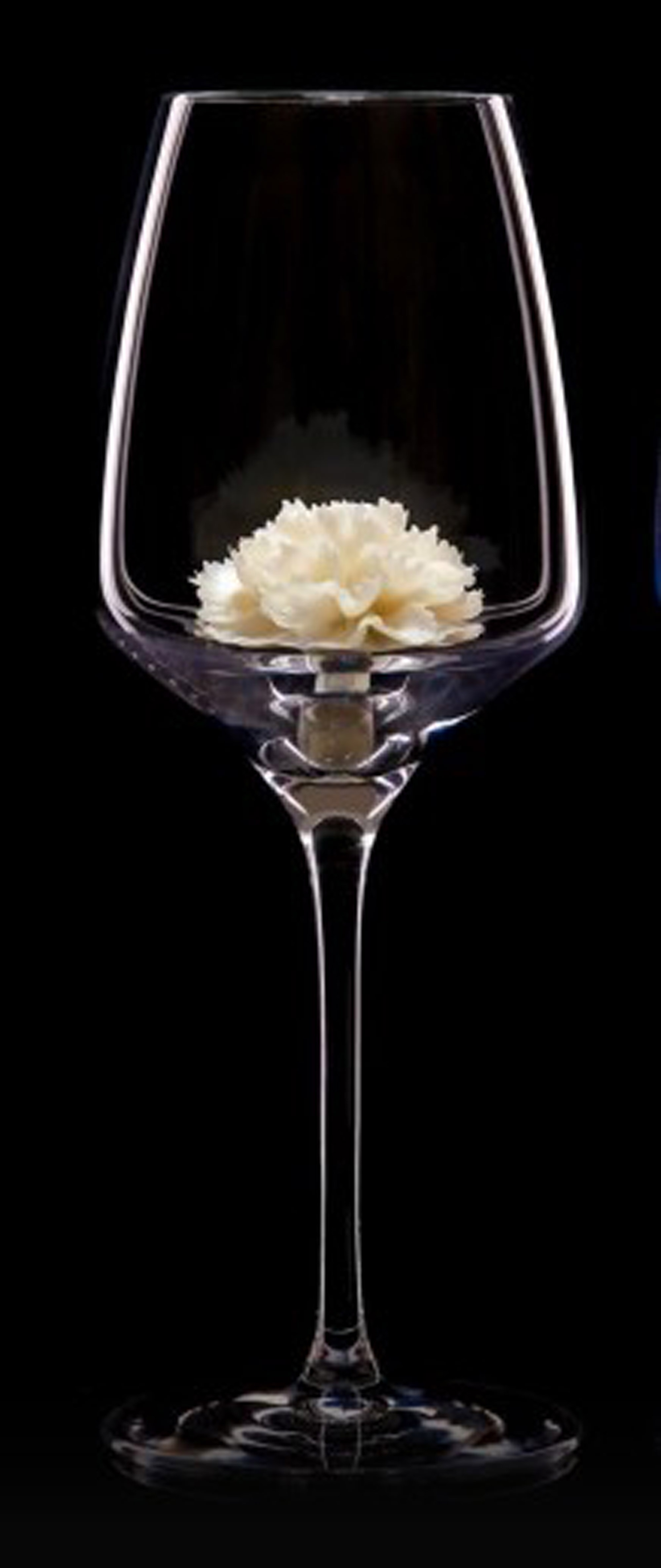 Бокал с белой гвоздикой (под белое вино)